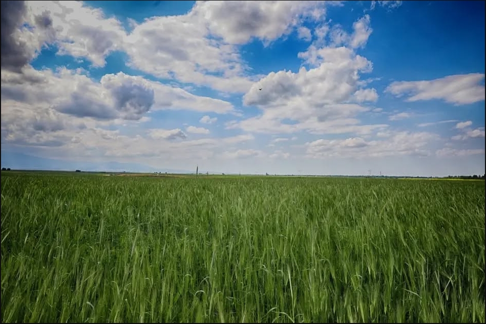 Screenshot_364.jpg