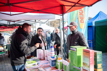 Yevlaxda Aqrar Biznes Festivalı və kredit yarmarkası keçirilib