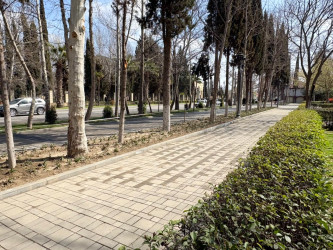 Yevlax Şəhər İcra Hakimiyyəti tərəfindən “Şəhərsalma və Memarlıq İli” çərçivəsində şəhərdə abadlıq-quruculuq işləri davam etdirilir