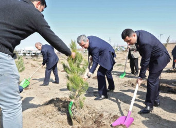 Yevlaxda “Heydər Əliyev ili” çərçivəsində ağacəkmə aksiyası keçirilib