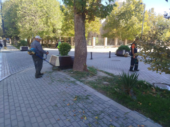 Növbəti iməclik təşkil olunmuşdur