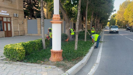 Yevlax Şəhər İcra Hakimiyyəti tərəfindən “Şəhərsalma və Memarlıq İli” çərçivəsində sakinlərdə təbiətə qayğı və ətraf mühitə məsuliyyətli münasibətin formalaşdırılması, yaşıllıqların artırılmasının təşviq edilməsi, eləcə də ekoloji maarifləndirmə işlərinə töhfə vermək məqsədilə şəhərin müxtəlif ərazilərini əhatə edən növbəti iməcilik təşkil olunub.