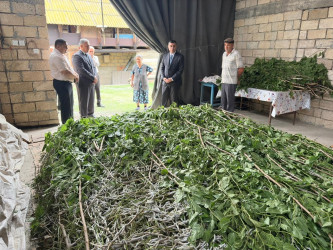 İcra Hakimiyyətinin Başçısı kümçülük təsərrüfatına baxış keçirib