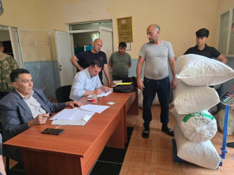 Yevlaxda yaş barama tədarükü davam etdirilir