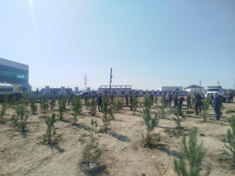 27 Sentyabr-Anım Gününə həsr olunmuş ağacəkmə aksiyası keçirilmişdir