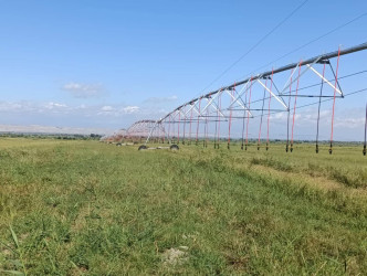 Yevlaxda kənd təsərrüfatı sahəsində Dövlət Proqramının icrası ilə bağlı monitorinq keçirilib