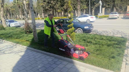 Yevlaxda yaşıllıqlara qulluq göstərilib