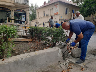 Yevlax şəhərində təmizlik işləri davam etdirilmişdir