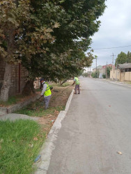 Yevlaxda növbəti iməcilik təşkil olunub