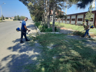 Yevlaxda “Yaşıl dünya naminə həmrəylik ili” çərçivəsində növbəti iməcilik təşkil olunmuşdur