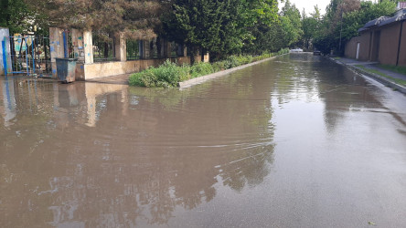 Yevlaxda küləyin və güclü yağışın fəsadları aradan qaldırılır