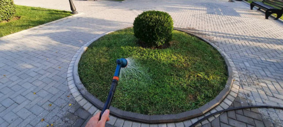 Yevlaxda növbəti iməcilik təşkil olunub