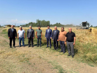 Yevlax Şəhər İcra Hakimiyyətinin Başçısı rayonun Duzdağ qəsəbəsində taxıl biçini prosesi ilə maraqlanıb