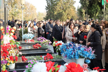 Yevlaxda Şanlı Zəfərin beşinci ildönümü ilə əlaqədar Şəhidlər Xiyabanı ziyarət olunmuşdur