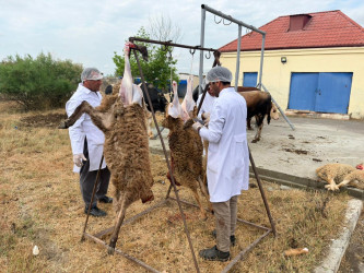 Yevlaxda Müqəddəs Qurban bayramı qeyd edilib