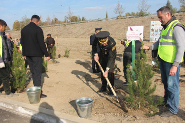 Yevlaxda 8 Noyabr-Zəfər Gününün beşinci ildönümü münasibətilə ağacəkmə aksiyası təşkil edilmişdir