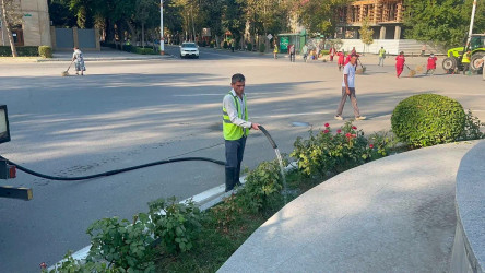 Yevlax Şəhər İcra Hakimiyyəti tərəfindən “Şəhərsalma və Memarlıq İli” çərçivəsində sakinlərdə təbiətə qayğı və ətraf mühitə məsuliyyətli münasibətin formalaşdırılması, yaşıllıqların artırılmasının təşviq edilməsi, eləcə də ekoloji maarifləndirmə işlərinə töhfə vermək məqsədilə şəhərin müxtəlif ərazilərini əhatə edən növbəti iməcilik təşkil olunub.