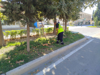 Növbəti iməclik təşkil olunmuşdur