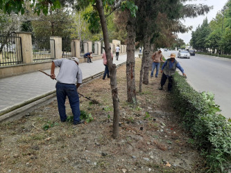 Yevlax şəhərində təmizlik işləri davam etdirilmişdir