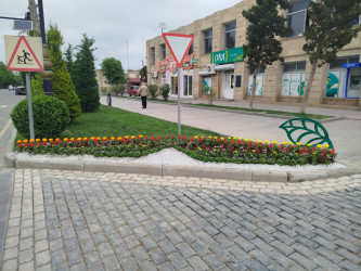 Yevlaxda Ulu Öndər Heydər Əliyevin anadan olmasının 102-ci ildönümü ərəfəsində müxtəlif növ çiçəklər əkilmişdir