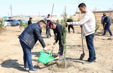 Yevlaxda “Heydər Əliyev ili” çərçivəsində ağacəkmə aksiyası keçirilib