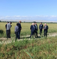 Yevlaxda kənd təsərrüfatı sahəsində Dövlət Proqramının icrası ilə bağlı monitorinq keçirilib