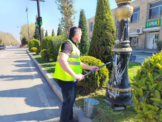 Şəhər ərazisində növbəti iməcilik təşkil edilib.