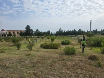 Rayonun Aran qəsəbəsində, Yuxarı Qarxun və Xaldan kəndlərində iməciliklər keçirilib