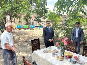 Yevlax Şəhər İcra Hakimiyyətinin Başçısı gənc arıçı ilə görüşüb
