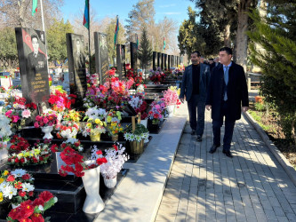 Yevlaxda şəhid ailələrinin üzvlərinin iştirakı ilə ağacəkmə aksiyası keçirilib