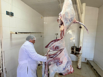 Yevlaxda Müqəddəs Qurban bayramı qeyd edilib