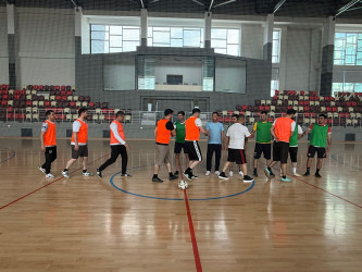 Yevlaxda Ümumdünya Sağlamlıq Günü münasibətilə müxtəlif tədbirlər keçirilib