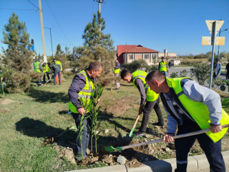 Yevlaxda 8 Noyabr-Zəfər Gününün beşinci ildönümü münasibətilə silsilə ağacəkmə aksiyaları təşkil olunmuşdur