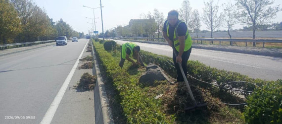 Yevlaxda növbəti iməcilik təşkil olunub