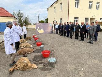 Yevlaxda Müqəddəs Qurban bayramı qeyd edilib