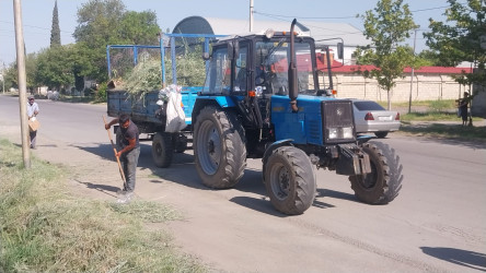 Yevlaxda “Yaşıl dünya naminə həmrəylik ili” çərçivəsində növbəti iməcilik keçirilmişdir