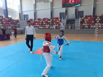 Yevlaxda taekvondo idman növü üzrə rayon birinciliyi keçirilib