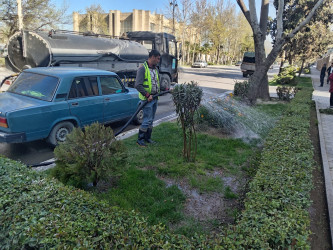 Şəhər ərazisində növbəti iməcilik təşkil edilib.