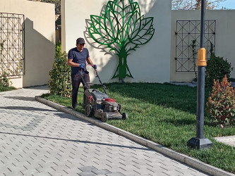 Yevlaxda yaşıllıqlara qulluq göstərilib