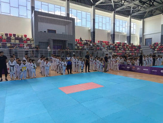 Yevlaxda taekvondo idman növü üzrə rayon birinciliyi keçirilib