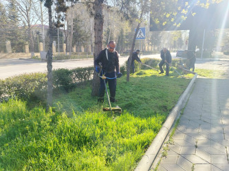 Yevlaxda yaşıllıqlara qulluq göstərilib