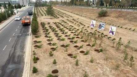 Yevlaxda 27 Sentyabr-Anım Günü ilə əlaqədar ağacəkmə aksiyası keçirilib
