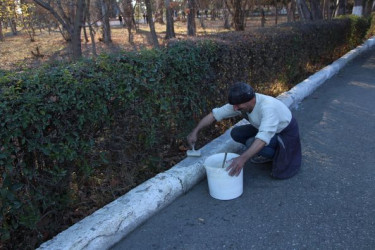 Yevlaxda növbəti iməcilik keçirilib