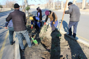 Yevlaxda növbəti iməcilik keçirilib