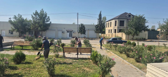 Rayonun Aran qəsəbəsində, Yuxarı Qarxun və Xaldan kəndlərində iməciliklər keçirilib