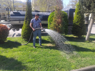 Yevlaxda yaşıllıqlara qulluq göstərilib