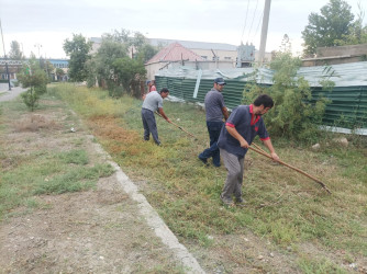 Yevlaxda “Yaşıl dünya naminə həmrəylik ili” çərçivəsində iməciliklərin keçirilməsi ənənəyə çevrilib