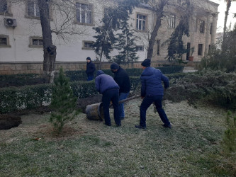 Yevlaxda “Yaşıl dünya naminə həmrəylik ili” çərçivəsində yaşıllaşdırma işləri davam etdirilir