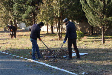 Yevlaxda növbəti iməcilik keçirilib