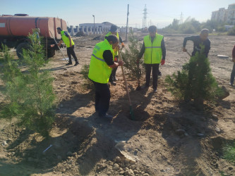 27 Sentyabr-Anım Gününə həsr olunmuş ağacəkmə aksiyası keçirilmişdir